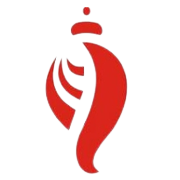 Birla Cotsyn India Ltd Logo