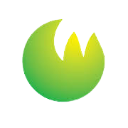 Cyber Media (India) Ltd