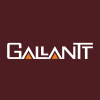 Gallantt Ispat Ltd.