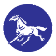 Kothari Industrial Corporation Ltd