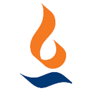 Max India Ltd