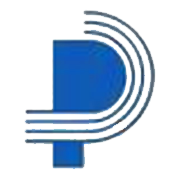 Patspin India Ltd