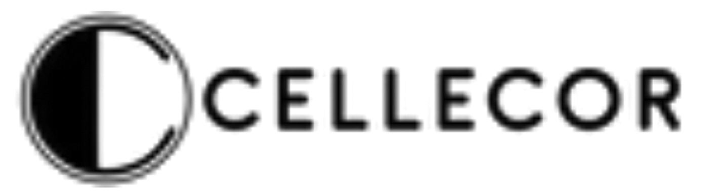 Cellecor Gadgets Ltd