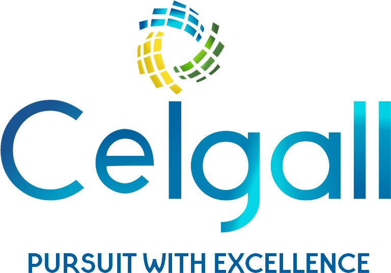 Ceigall India Ltd